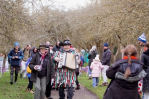The wassail in progress through the orchard.